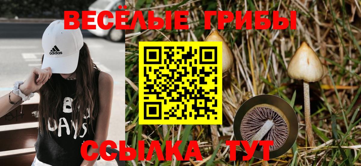 Ленинск-Кузнецкий  закладка  Вход с VPN  Галлюциногенные грибы ЛСД 